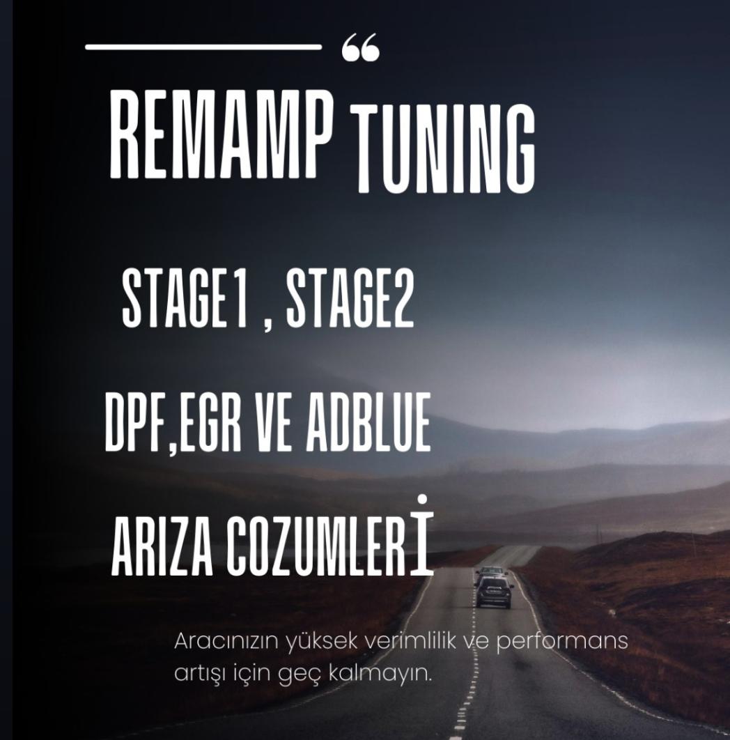 Remamp Ecu Beyin